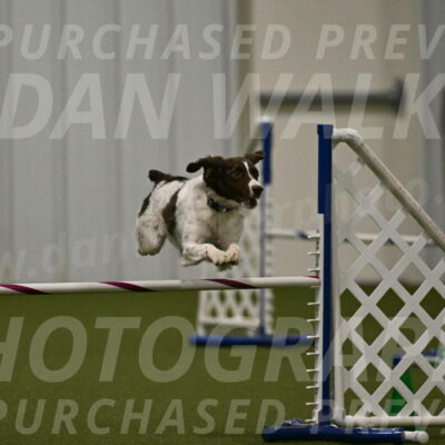 Karma-Sandy-and-Jeff-Crighton-03342