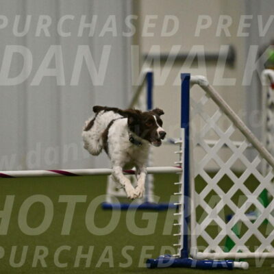 Karma-Sandy-and-Jeff-Crighton-03343