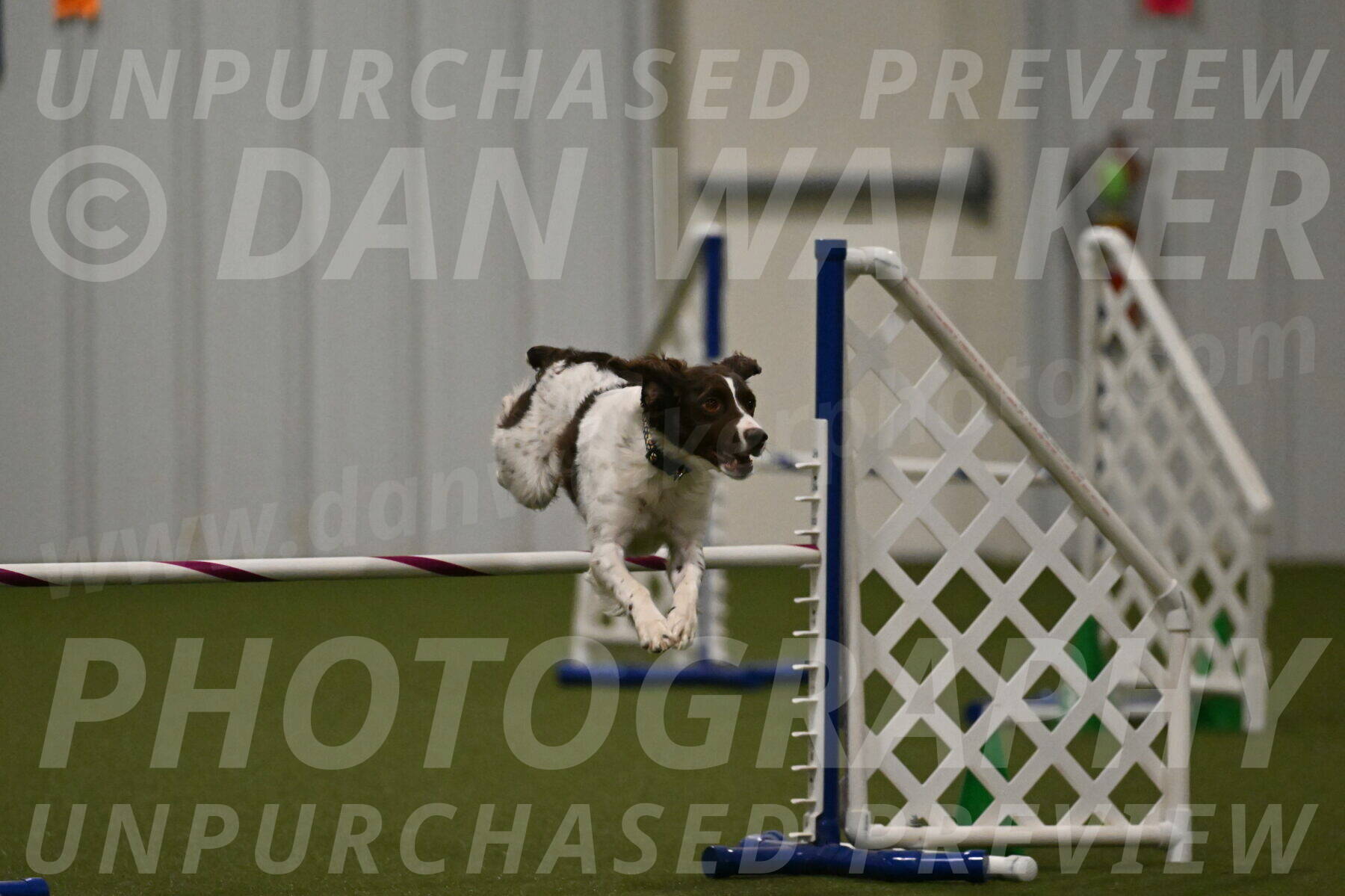 Karma-Sandy-and-Jeff-Crighton-03343