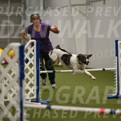 Karma-Sandy-and-Jeff-Crighton-03344