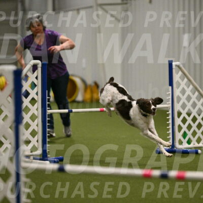 Karma-Sandy-and-Jeff-Crighton-03345