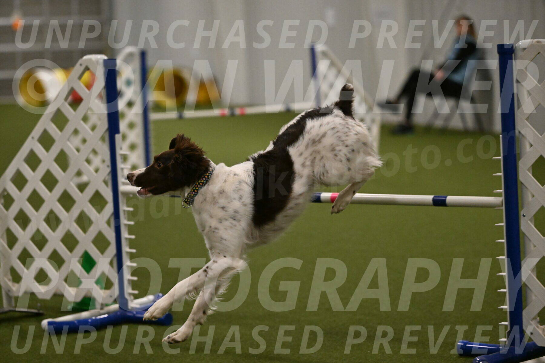 Karma-Sandy-and-Jeff-Crighton-03346