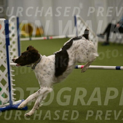 Karma-Sandy-and-Jeff-Crighton-03346