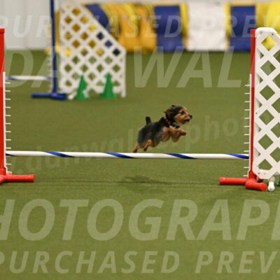 Kash-Kayla-Mickey-10589