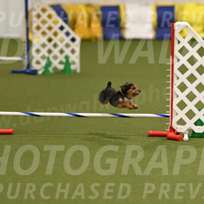 Kash-Kayla-Mickey-10590