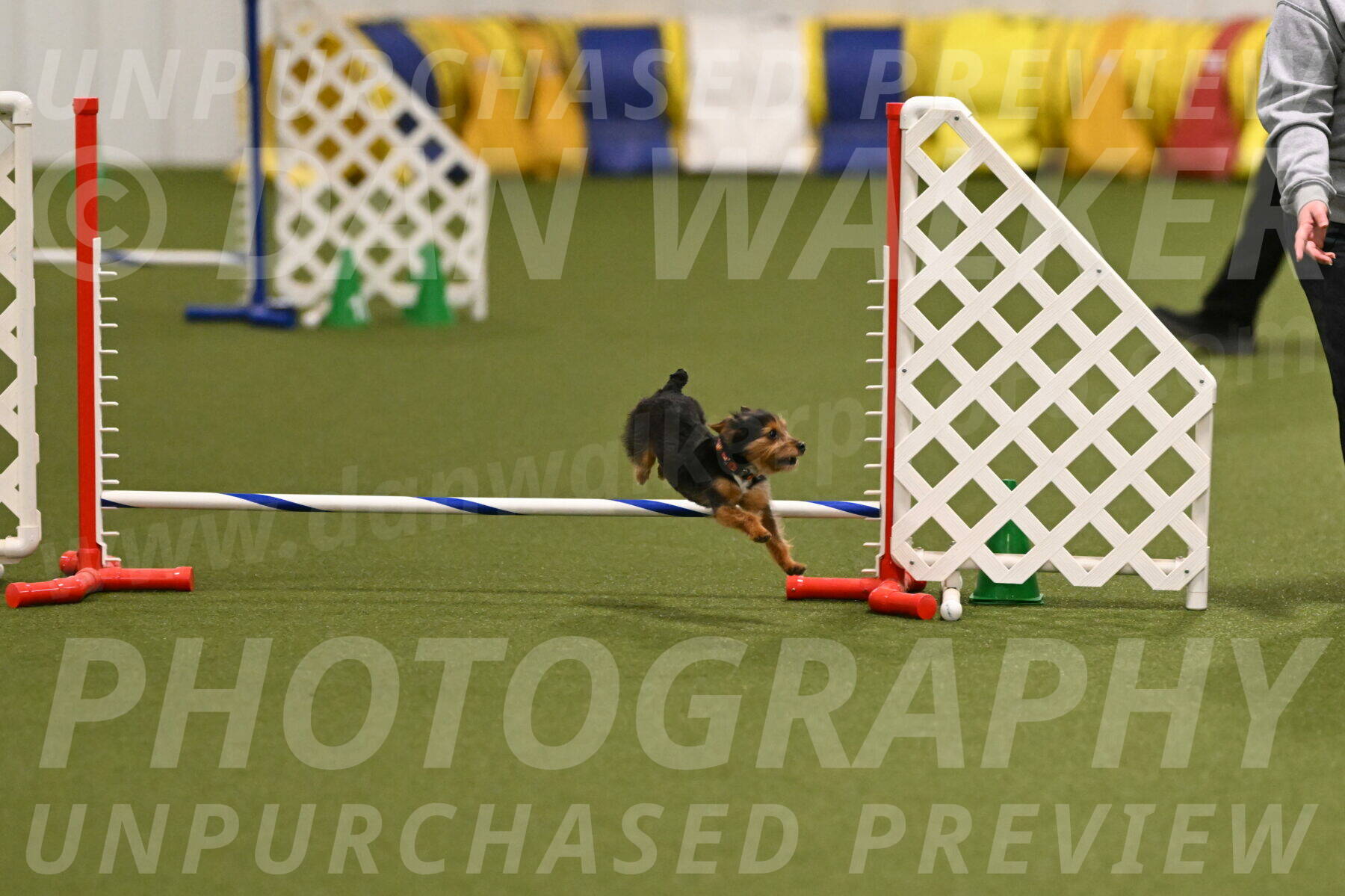 Kash-Kayla-Mickey-10591