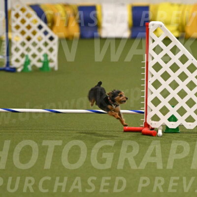 Kash-Kayla-Mickey-10591