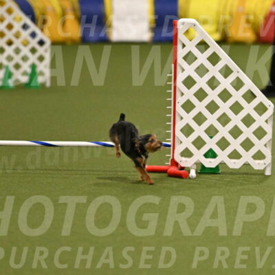 Kash-Kayla-Mickey-10592