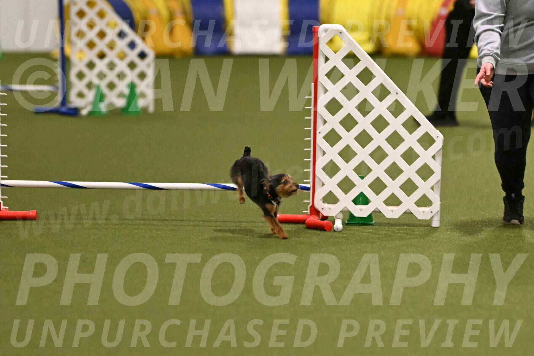 Kash-Kayla-Mickey-10592