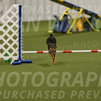 Kash-Kayla-Mickey-10593