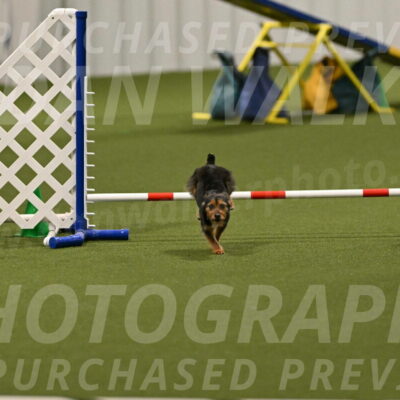 Kash-Kayla-Mickey-10594