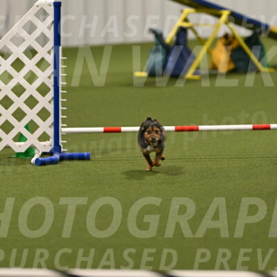 Kash-Kayla-Mickey-10595