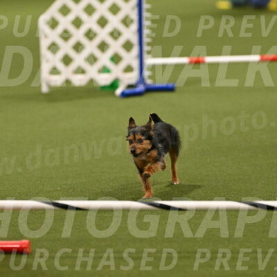 Kash-Kayla-Mickey-10596