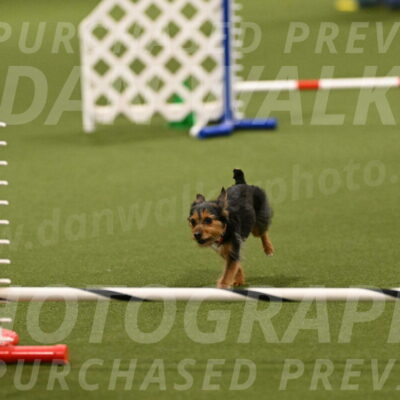 Kash-Kayla-Mickey-10597