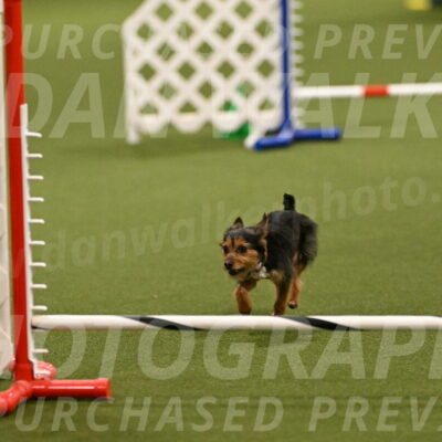 Kash-Kayla-Mickey-10598