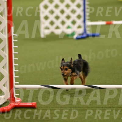 Kash-Kayla-Mickey-10599