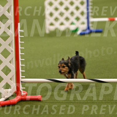 Kash-Kayla-Mickey-10600