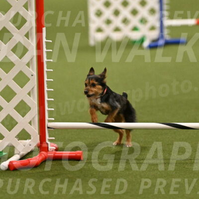 Kash-Kayla-Mickey-10601