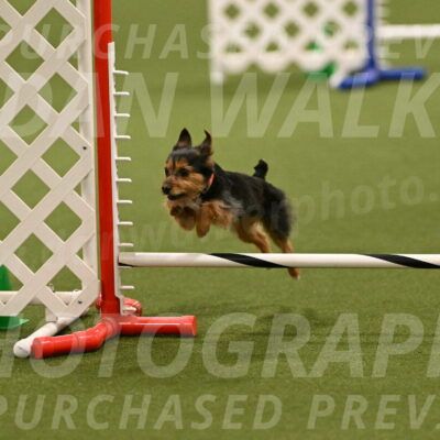 Kash-Kayla-Mickey-10602