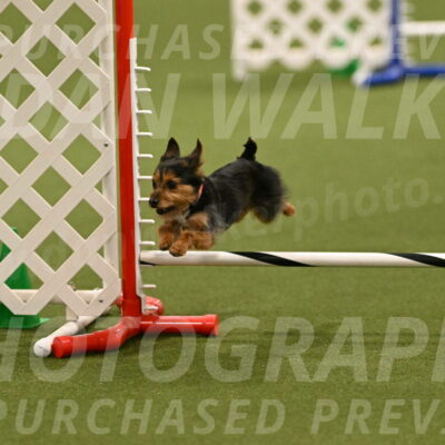 Kash-Kayla-Mickey-10603