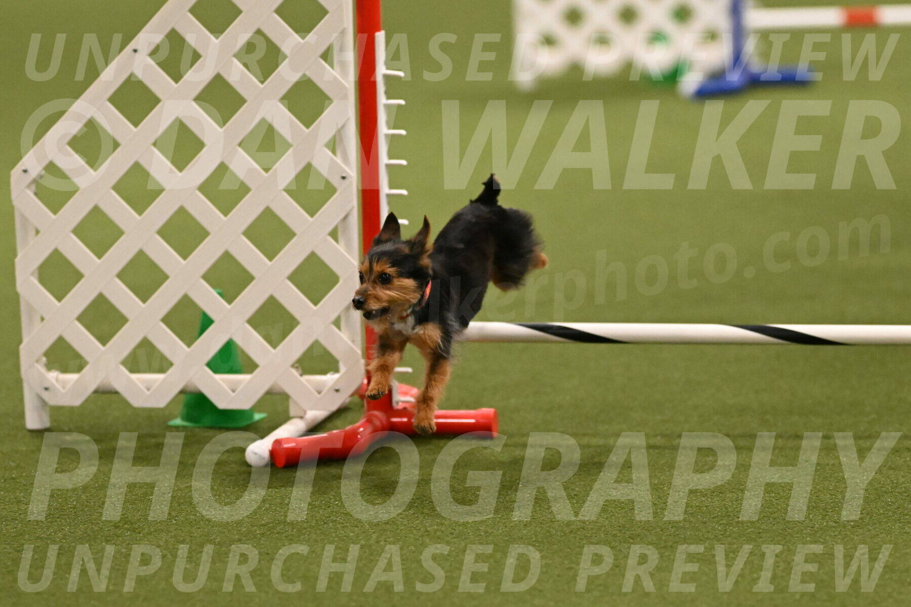 Kash-Kayla-Mickey-10604