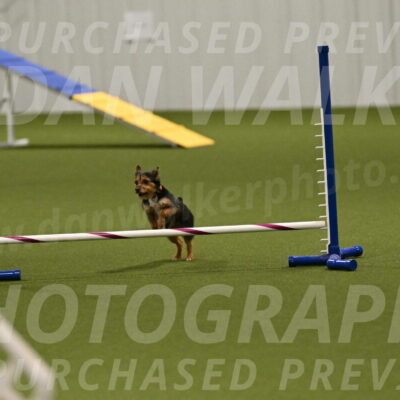 Kash-Kayla-Mickey-10606