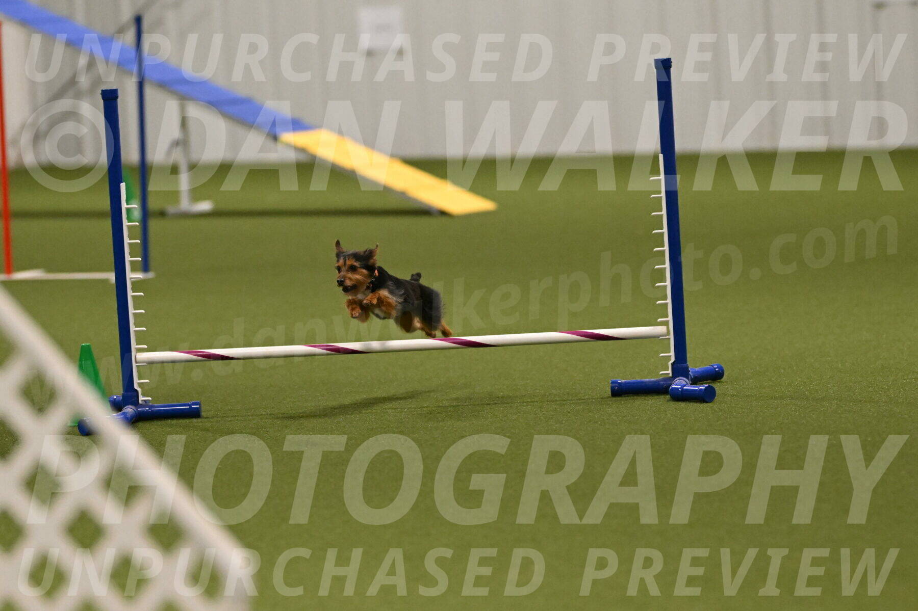 Kash-Kayla-Mickey-10607