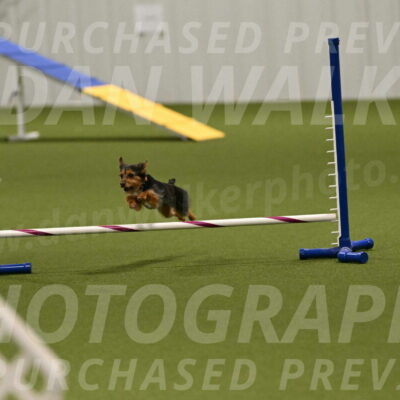 Kash-Kayla-Mickey-10607