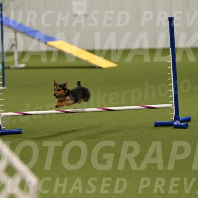 Kash-Kayla-Mickey-10608