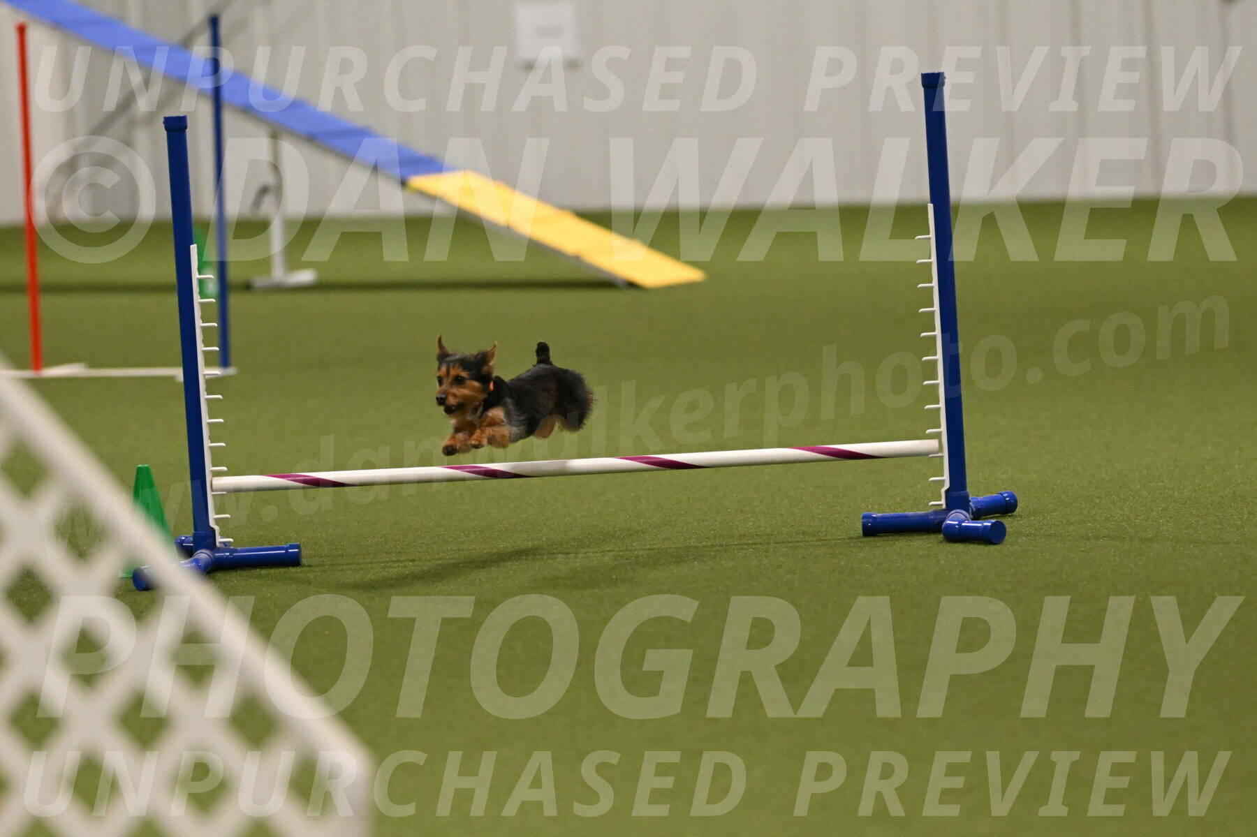 Kash-Kayla-Mickey-10608