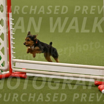 Kash-Kayla-Mickey-10609