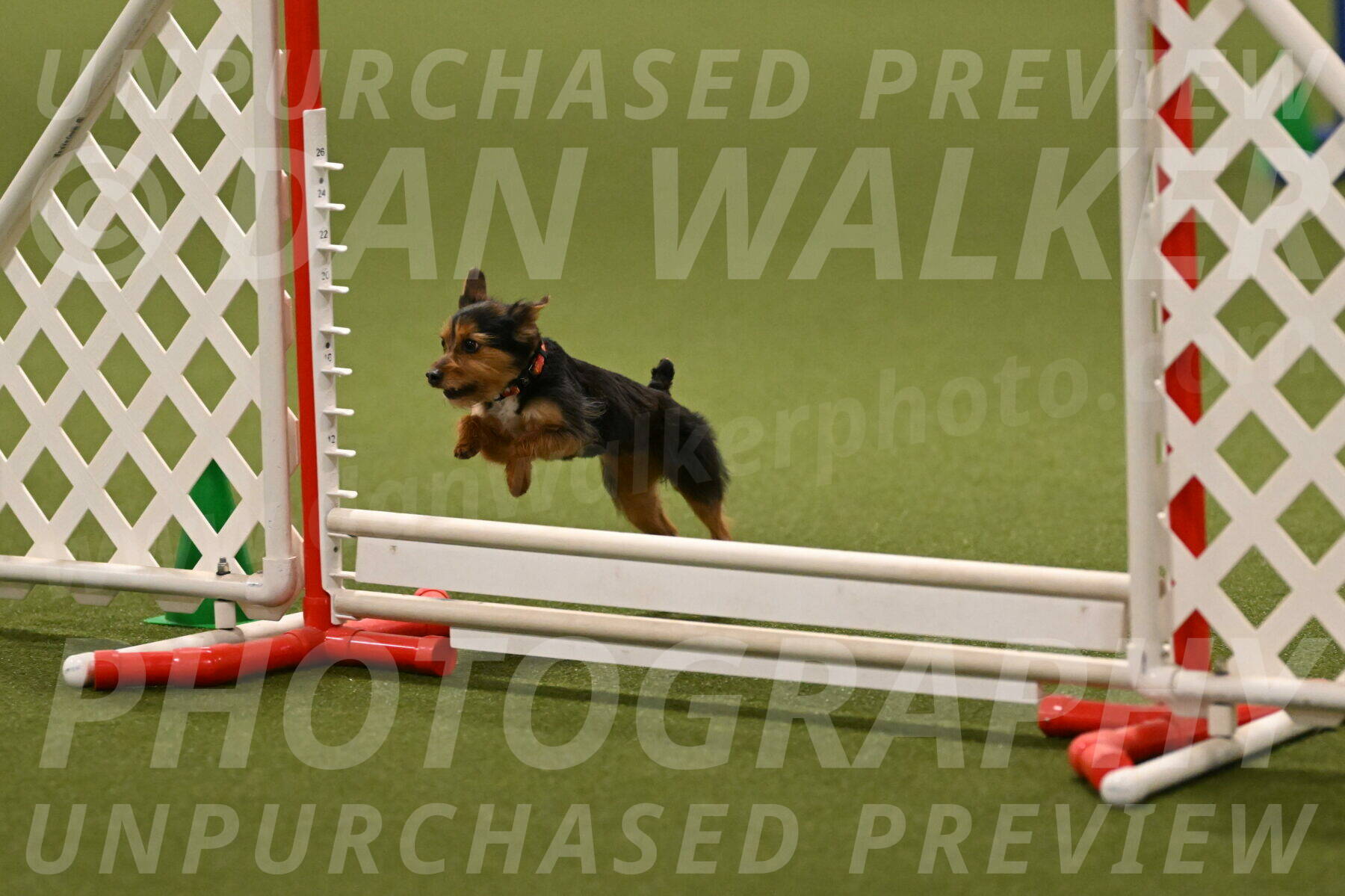 Kash-Kayla-Mickey-10609