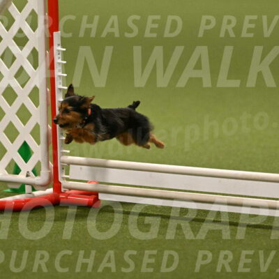 Kash-Kayla-Mickey-10610