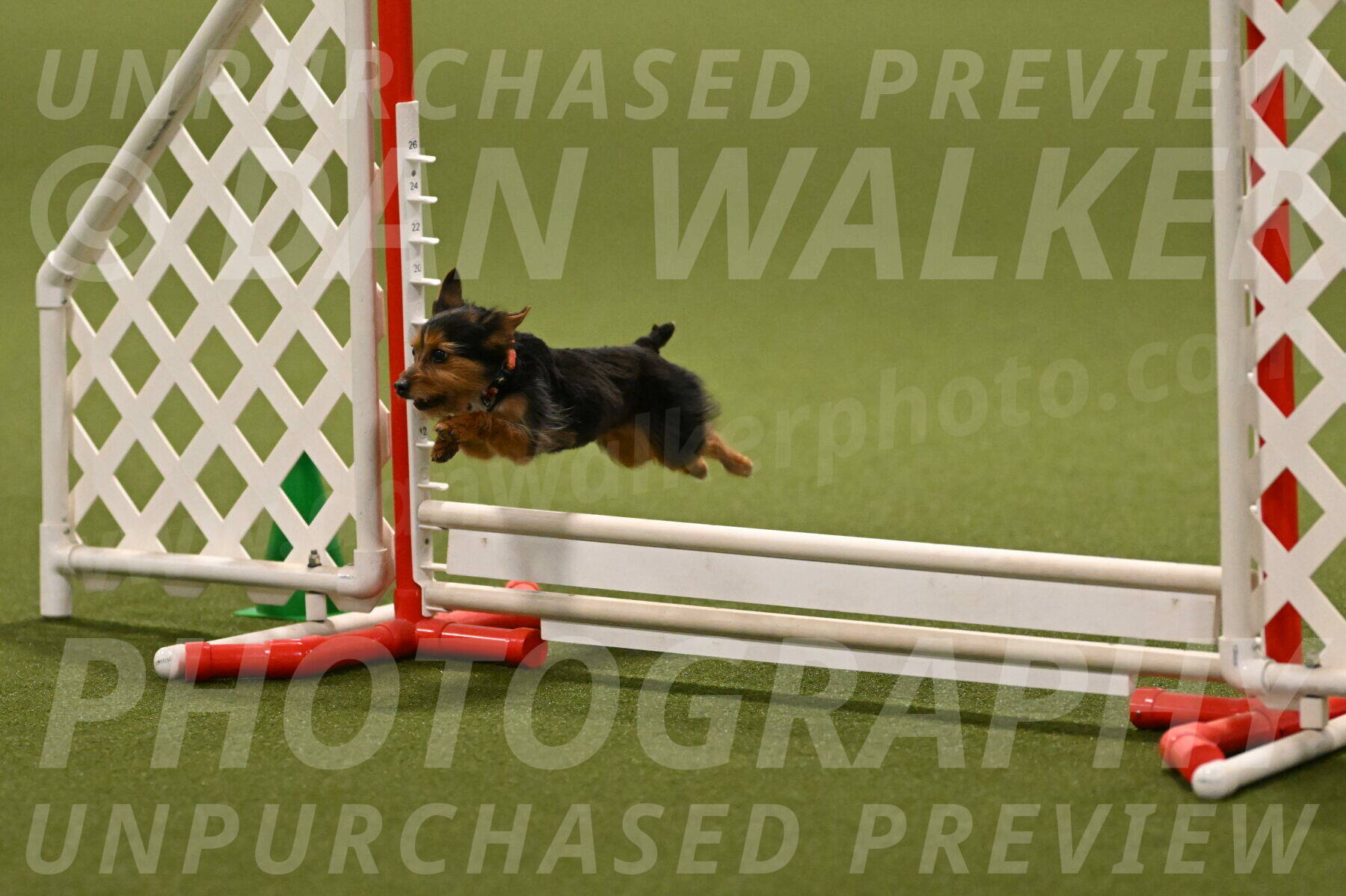 Kash-Kayla-Mickey-10610