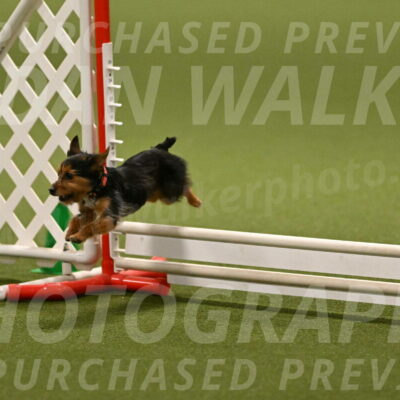 Kash-Kayla-Mickey-10611