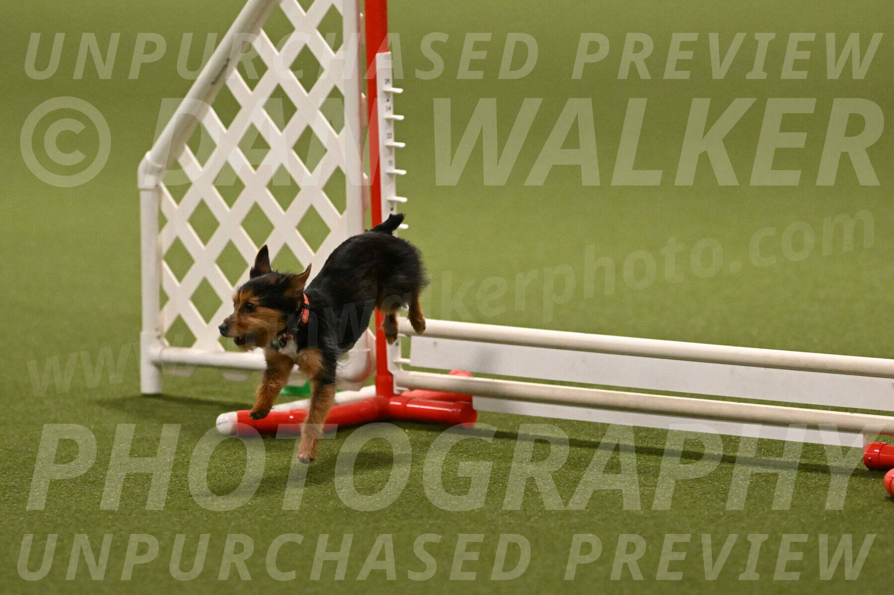 Kash-Kayla-Mickey-10612