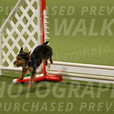 Kash-Kayla-Mickey-10612