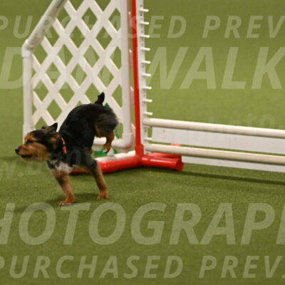 Kash-Kayla-Mickey-10613