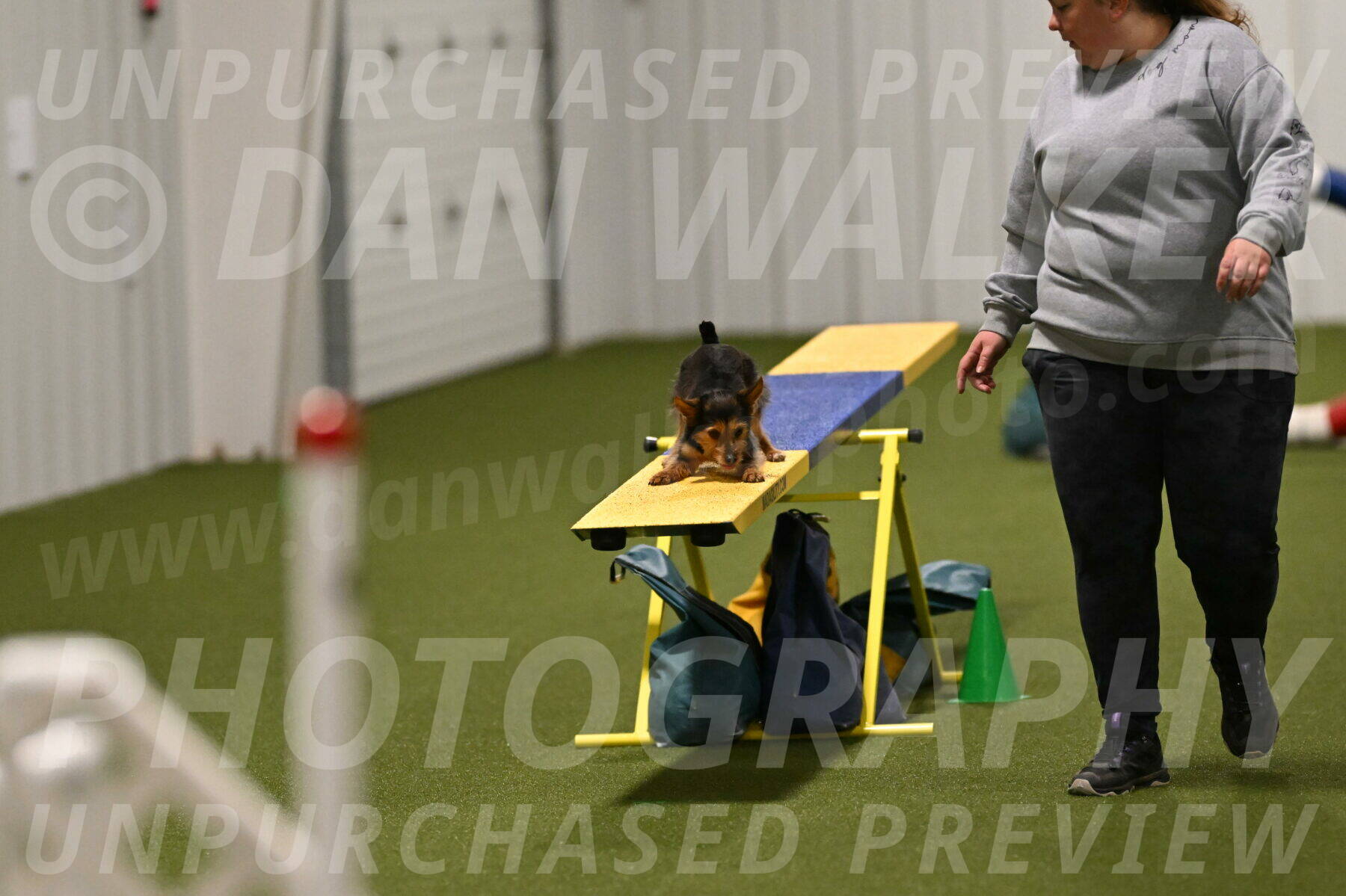 Kash-Kayla-Mickey-10614