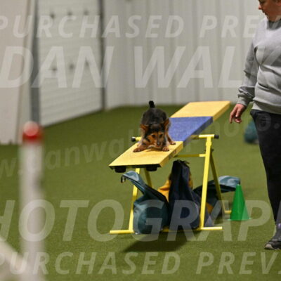 Kash-Kayla-Mickey-10614