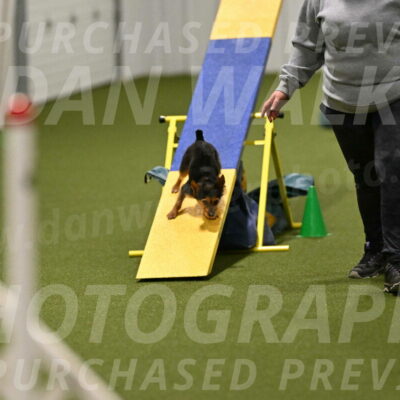 Kash-Kayla-Mickey-10615