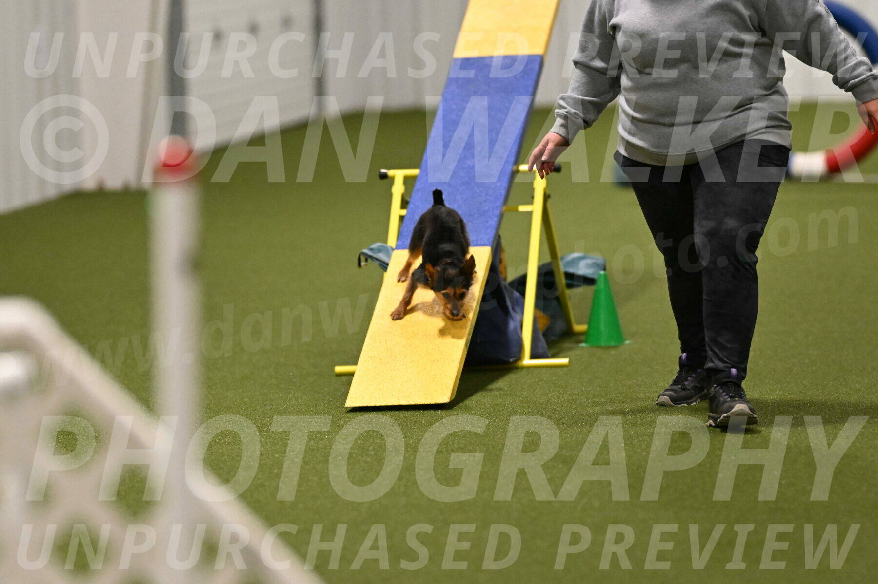 Kash-Kayla-Mickey-10615