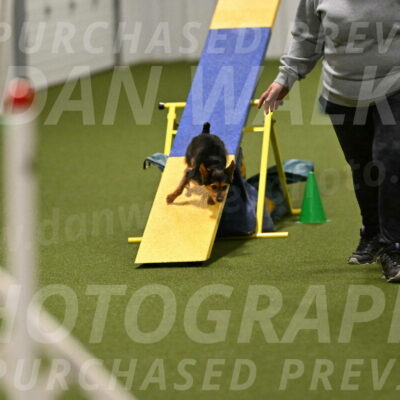 Kash-Kayla-Mickey-10616