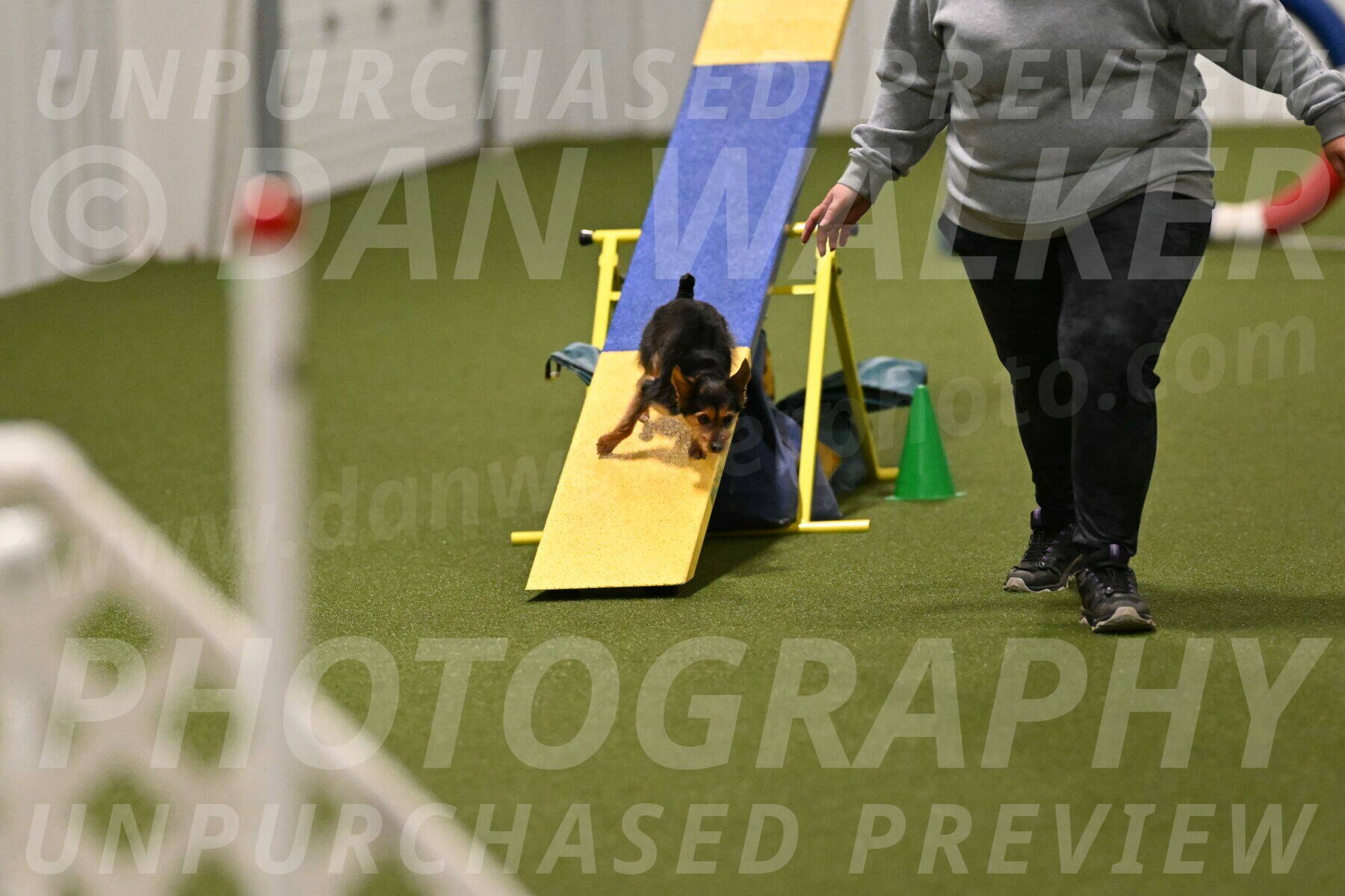 Kash-Kayla-Mickey-10616