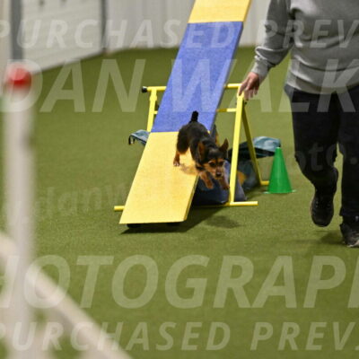 Kash-Kayla-Mickey-10617