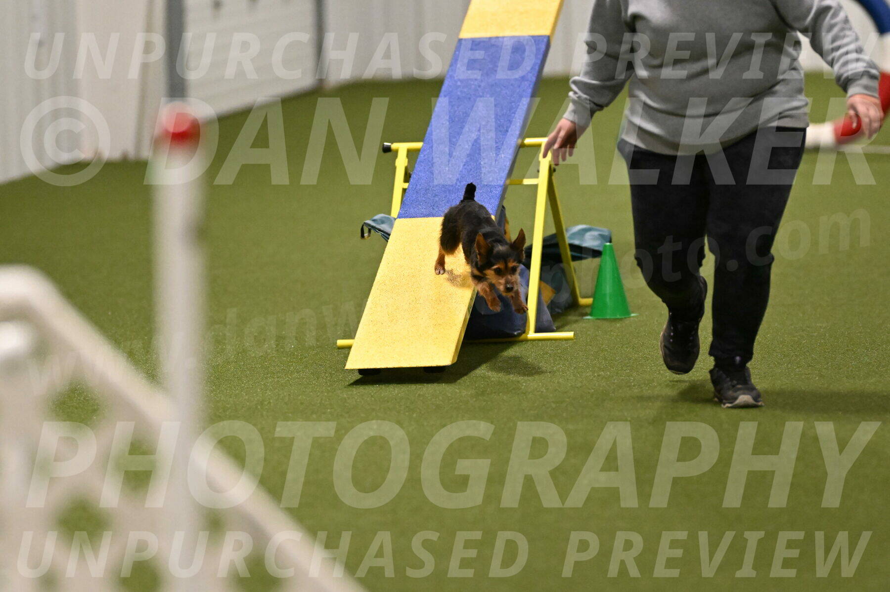 Kash-Kayla-Mickey-10617