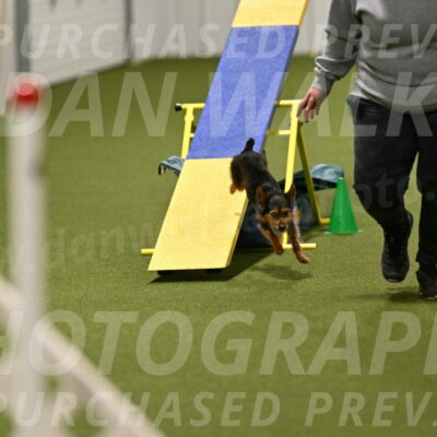 Kash-Kayla-Mickey-10618