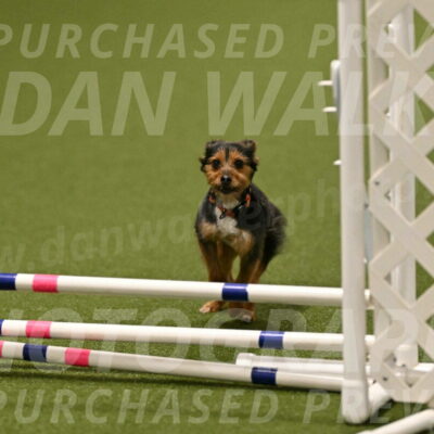 Kash-Kayla-Mickey-10619