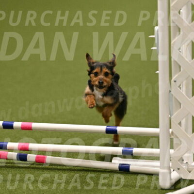 Kash-Kayla-Mickey-10620