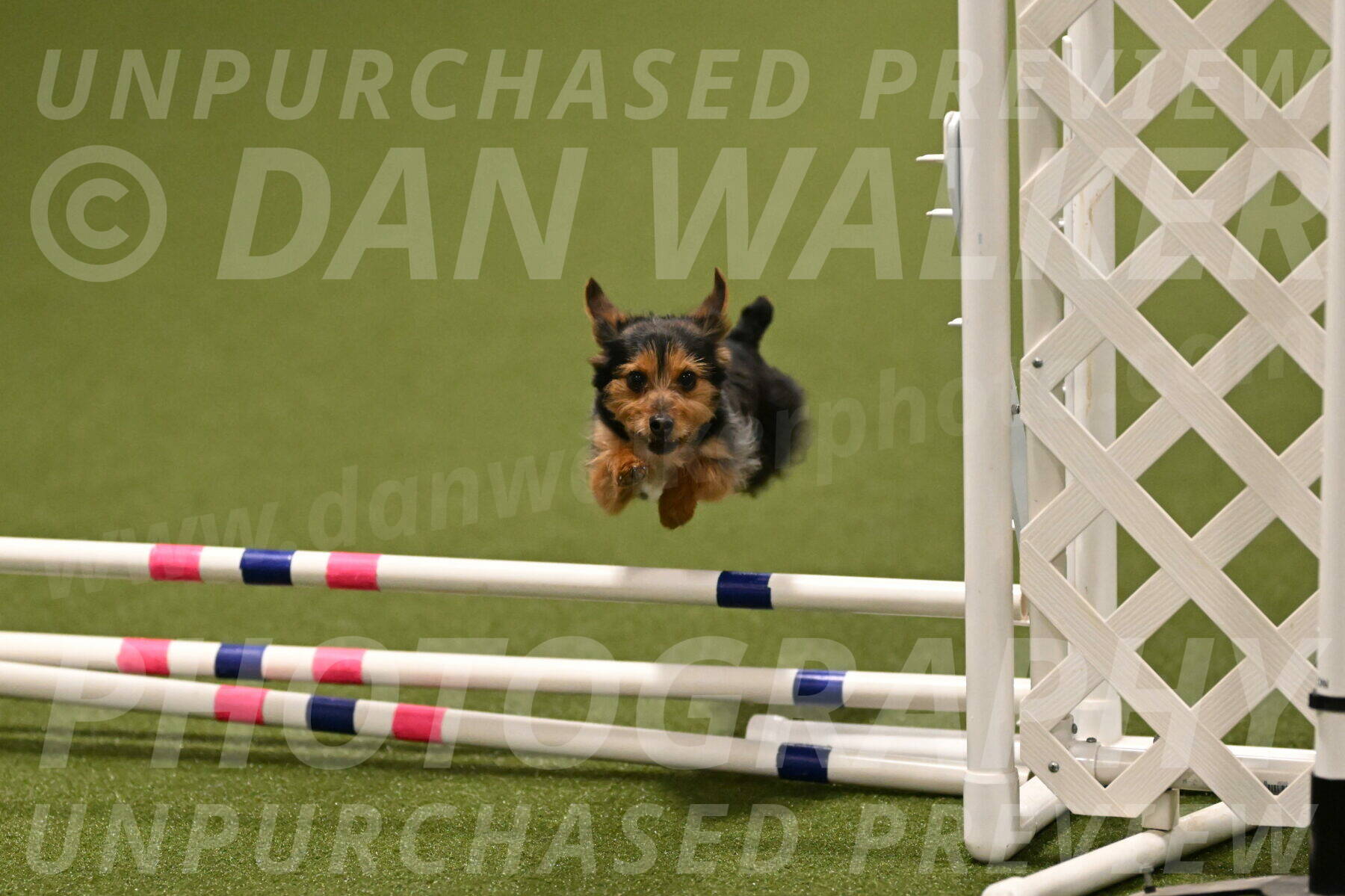 Kash-Kayla-Mickey-10621